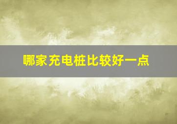 哪家充电桩比较好一点