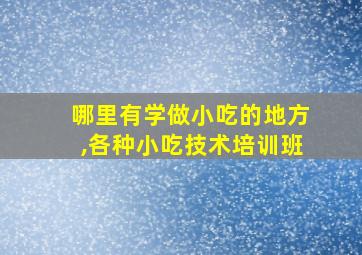 哪里有学做小吃的地方,各种小吃技术培训班