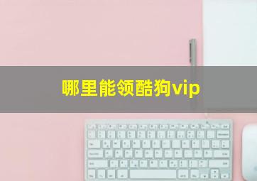 哪里能领酷狗vip