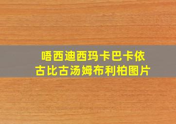 唔西迪西玛卡巴卡依古比古汤姆布利柏图片