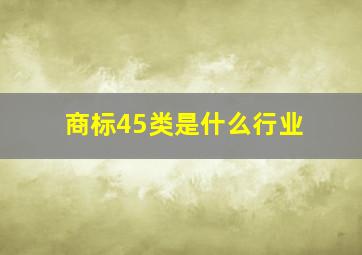 商标45类是什么行业