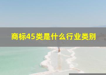 商标45类是什么行业类别