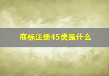 商标注册45类是什么