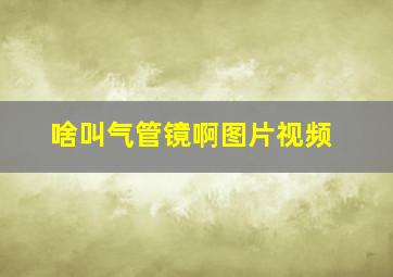 啥叫气管镜啊图片视频