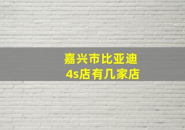 嘉兴市比亚迪4s店有几家店