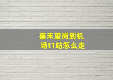 嘉禾望岗到机场t1站怎么走