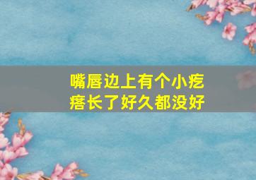 嘴唇边上有个小疙瘩长了好久都没好