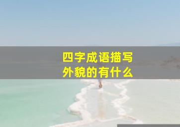 四字成语描写外貌的有什么