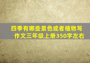 四季有哪些景色或者植物写作文三年级上册350字左右