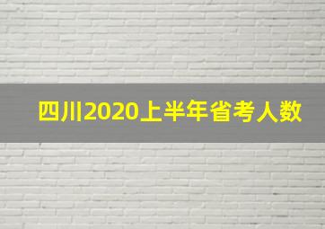 四川2020上半年省考人数