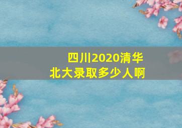 四川2020清华北大录取多少人啊