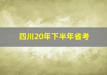 四川20年下半年省考