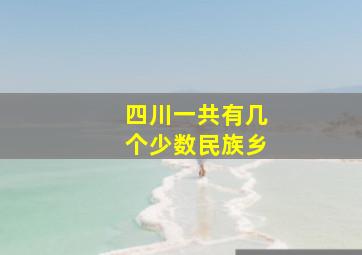 四川一共有几个少数民族乡