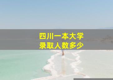 四川一本大学录取人数多少