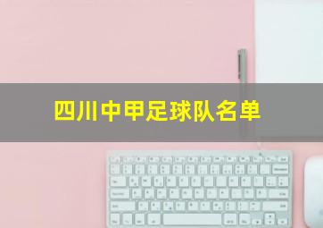 四川中甲足球队名单