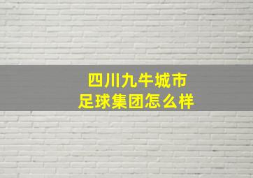 四川九牛城市足球集团怎么样