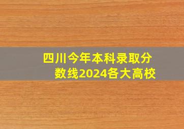 四川今年本科录取分数线2024各大高校