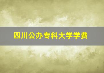 四川公办专科大学学费