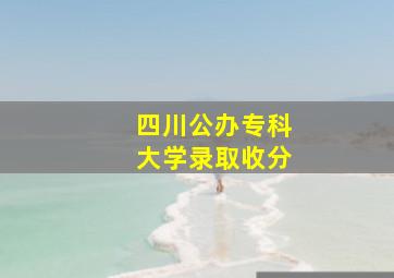 四川公办专科大学录取收分