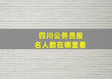 四川公务员报名人数在哪里看