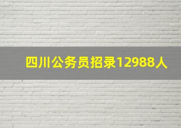 四川公务员招录12988人