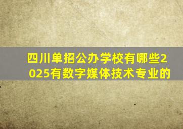 四川单招公办学校有哪些2025有数字媒体技术专业的