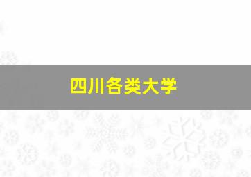 四川各类大学