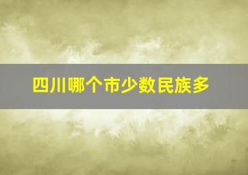 四川哪个市少数民族多