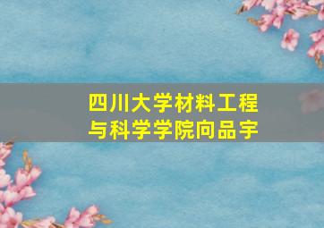 四川大学材料工程与科学学院向品宇