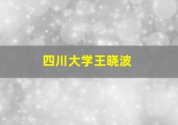 四川大学王晓波