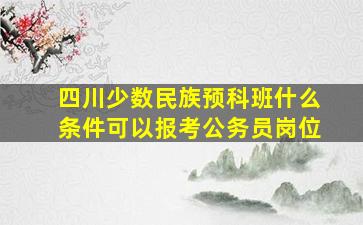 四川少数民族预科班什么条件可以报考公务员岗位