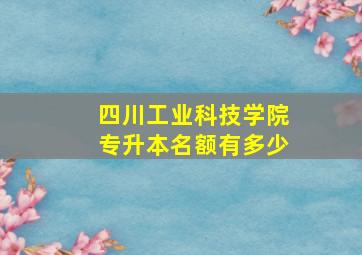 四川工业科技学院专升本名额有多少