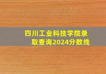 四川工业科技学院录取查询2024分数线