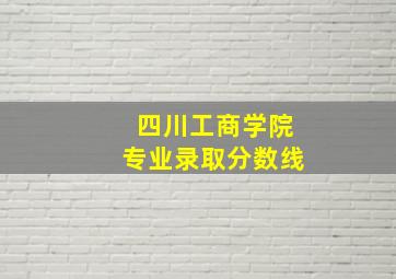 四川工商学院专业录取分数线