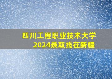 四川工程职业技术大学2024录取线在新疆