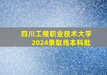 四川工程职业技术大学2024录取线本科批