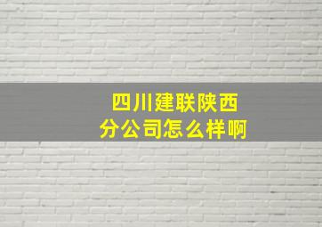 四川建联陕西分公司怎么样啊