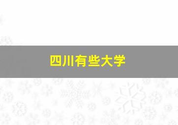 四川有些大学