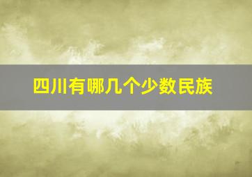 四川有哪几个少数民族