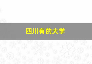 四川有的大学