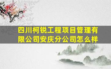 四川柯锐工程项目管理有限公司安庆分公司怎么样