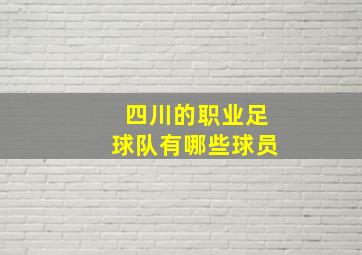 四川的职业足球队有哪些球员