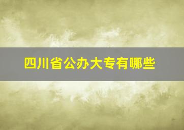 四川省公办大专有哪些