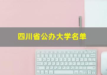 四川省公办大学名单