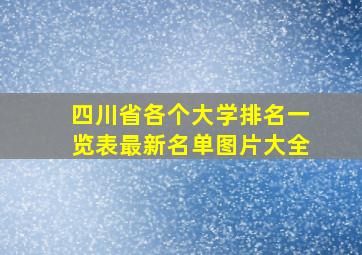 四川省各个大学排名一览表最新名单图片大全