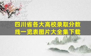 四川省各大高校录取分数线一览表图片大全集下载