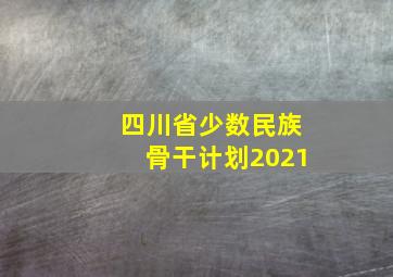 四川省少数民族骨干计划2021