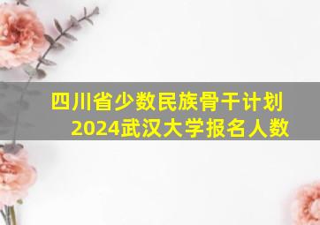 四川省少数民族骨干计划2024武汉大学报名人数