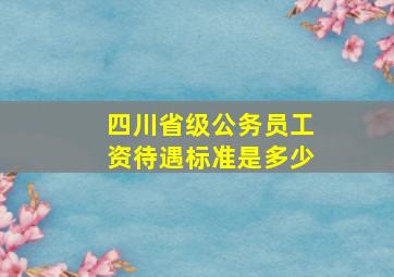 四川省级公务员工资待遇标准是多少