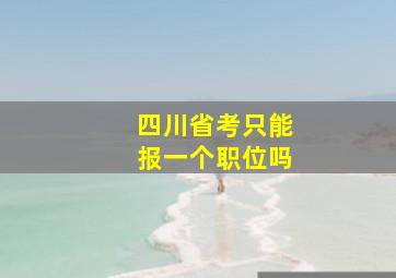 四川省考只能报一个职位吗